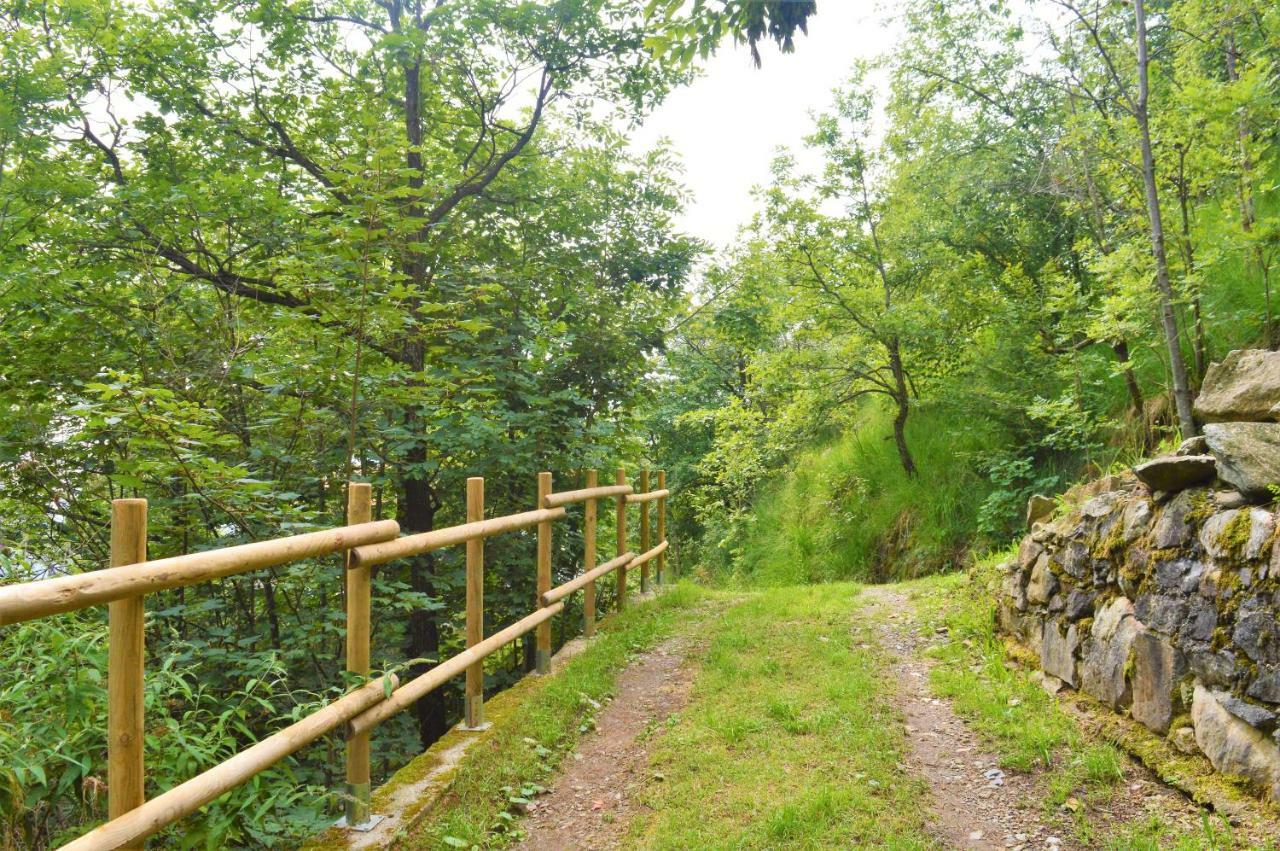 Gold Cave Casa Vacanze Relax Nel Bosco Appartamenti Pessinetto Eksteriør billede